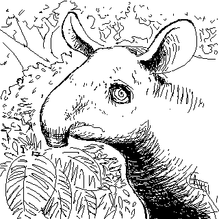 ALTRA DANTA